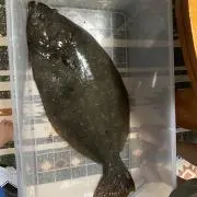 charaaki526の画像