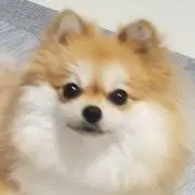 Sumio