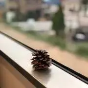 梅田の画像