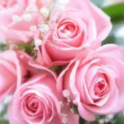Emmie✿プロフお読み下さいの画像