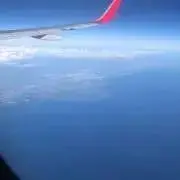 なかむらさんの画像