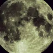 麗の画像