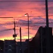 鉄虎（断捨離中　まとめ買い歓迎）の画像