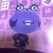カナディアン
