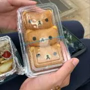 白玉ちゃんの画像