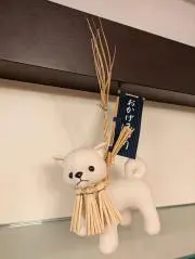 まいりー2022の画像