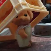 ざらいたちゃんの画像