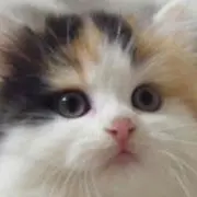 あーたたん   プロフ必読お願いします
