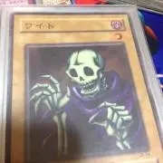 タカ