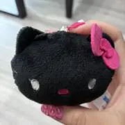MAIMAIの画像