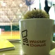 青じそ