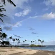 AMの画像