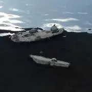 カメさんの画像
