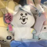 shikenの画像