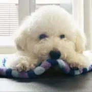 くう⭐️プロフ必読の画像