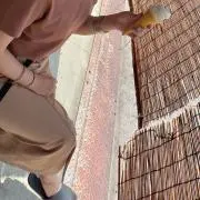 ちび丸子の画像