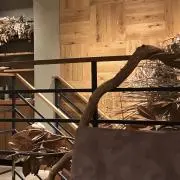 soraの画像