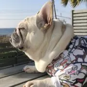 武助and凪