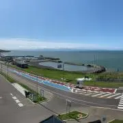 ピノの画像