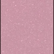 かぼちゃ