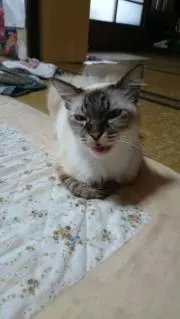 Nの画像