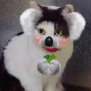 U.KORONちゃん