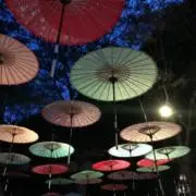 もるもるもーるの画像