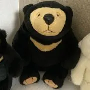 まれーぐまの画像