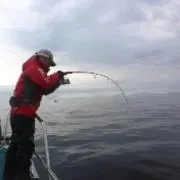 ひとっし