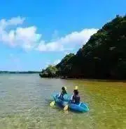 さとの画像