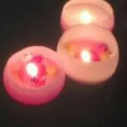 あやりぃ