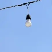 11番※プロフ必読の画像