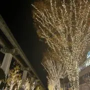 こち