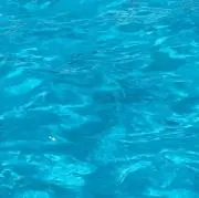☺︎の画像