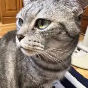 ちゃん。の画像