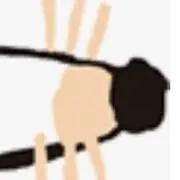 メイシーの画像