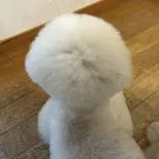 たおやか