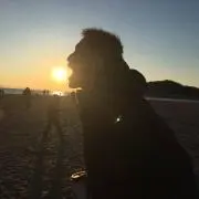 じーま