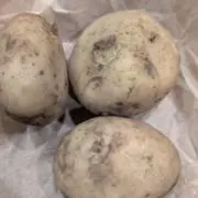 イモスケちゃんの画像