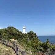 ワニくんの画像