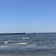 なぽれおんの画像