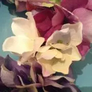toraneko♪プロフ一見必須で