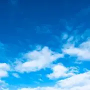 エムズの画像