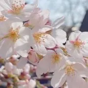 たけみちの画像
