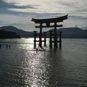 だいすけ