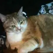 かばんや@3点購入で1点無料☆