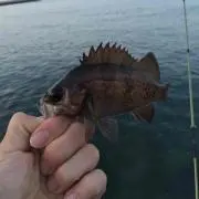ふふふ