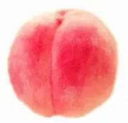 ももの画像