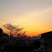 ベーコン(プロフィール必読)
