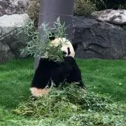 M さん